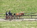 Photo n 33284&#10;LOUVRES 2015 Les Attelages de Conti&#10;&#10;Affiche 29 fois&#10;Ajoute le 30/05/2015 17:36:24 par JeanClaudeGrognet&#10;&#10;--> Cliquer pour agrandir <--