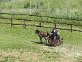 Photo n 33285&#10;LOUVRES 2015 Les Attelages de Conti&#10;&#10;Affiche 15 fois&#10;Ajoute le 30/05/2015 17:36:24 par JeanClaudeGrognet&#10;&#10;--> Cliquer pour agrandir <--