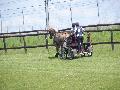 Photo n 33286&#10;LOUVRES 2015 Les Attelages de Conti&#10;&#10;Affiche 12 fois&#10;Ajoute le 30/05/2015 17:36:24 par JeanClaudeGrognet&#10;&#10;--> Cliquer pour agrandir <--