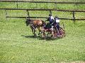 Photo n 33287&#10;LOUVRES 2015 Les Attelages de Conti&#10;&#10;Affiche 16 fois&#10;Ajoute le 30/05/2015 17:36:24 par JeanClaudeGrognet&#10;&#10;--> Cliquer pour agrandir <--