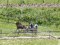 Photo n 33293&#10;LOUVRES 2015 Les Attelages de Conti&#10;&#10;Affiche 12 fois&#10;Ajoute le 30/05/2015 17:36:24 par JeanClaudeGrognet&#10;&#10;--> Cliquer pour agrandir <--