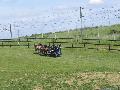 Photo n 33302&#10;LOUVRES 2015 Les Attelages de Conti&#10;&#10;Affiche 29 fois&#10;Ajoute le 30/05/2015 17:36:25 par JeanClaudeGrognet&#10;&#10;--> Cliquer pour agrandir <--