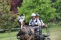 Photo n 33863&#10;Reignac 2015 sur le marathon&#10;&#10;Affiche 18 fois&#10;Ajoute le 21/06/2015 21:51:43 par JeanClaudeGrognet&#10;&#10;--> Cliquer pour agrandir <--