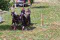 Photo n 33872&#10;Reignac 2015 sur le marathon&#10;&#10;Affiche 21 fois&#10;Ajoute le 21/06/2015 21:51:43 par JeanClaudeGrognet&#10;&#10;--> Cliquer pour agrandir <--