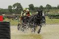 Photo n 33901&#10;Le Meslay du Maine - photo Agns Jeanjean&#10;&#10;Affiche 11 fois&#10;Ajoute le 28/06/2015 13:23:22 par JeanClaudeGrognet&#10;&#10;--> Cliquer pour agrandir <--