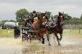 Photo n 33923&#10;Le Meslay du Maine - photo Agns Jeanjean&#10;&#10;Affiche 14 fois&#10;Ajoute le 28/06/2015 13:23:23 par JeanClaudeGrognet&#10;&#10;--> Cliquer pour agrandir <--