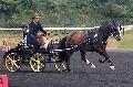 Photo n 33929&#10;Le Meslay du Maine - photo Agns Jeanjean&#10;&#10;Affiche 18 fois&#10;Ajoute le 28/06/2015 13:23:23 par JeanClaudeGrognet&#10;&#10;--> Cliquer pour agrandir <--