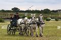Photo n 33937&#10;Le Meslay du Maine - photo Agns Jeanjean&#10;&#10;Affiche 11 fois&#10;Ajoute le 28/06/2015 13:23:23 par JeanClaudeGrognet&#10;&#10;--> Cliquer pour agrandir <--