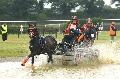 Photo n 33942&#10;Le Meslay du Maine - photo Agns Jeanjean&#10;&#10;Affiche 17 fois&#10;Ajoute le 28/06/2015 13:23:23 par JeanClaudeGrognet&#10;&#10;--> Cliquer pour agrandir <--