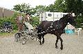 Photo n 33943&#10;Le Meslay du Maine - photo Agns Jeanjean&#10;&#10;Affiche 15 fois&#10;Ajoute le 28/06/2015 13:23:23 par JeanClaudeGrognet&#10;&#10;--> Cliquer pour agrandir <--