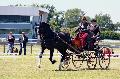 Photo n 33948&#10;Le Meslay du Maine - photo Agns Jeanjean&#10;&#10;Affiche 57 fois&#10;Ajoute le 28/06/2015 13:23:24 par JeanClaudeGrognet&#10;&#10;--> Cliquer pour agrandir <--
