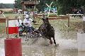 Photo n 34159&#10;Chablis 2015&#10;&#10;Affiche 11 fois&#10;Ajoute le 04/07/2015 23:40:54 par JeanClaudeGrognet&#10;&#10;--> Cliquer pour agrandir <--