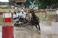 Photo n 34160&#10;Chablis 2015&#10;&#10;Affiche 15 fois&#10;Ajoute le 04/07/2015 23:40:54 par JeanClaudeGrognet&#10;&#10;--> Cliquer pour agrandir <--