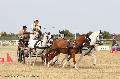 Photo n 34219&#10;LUCON 2015 photo Jean Pierre Giraud&#10;Mlanie Bailliache&#10;Affiche 37 fois&#10;Ajoute le 23/07/2015 08:35:58 par JeanClaudeGrognet&#10;&#10;--> Cliquer pour agrandir <--