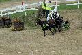 Photo n 34221&#10;Luon 2015&#10;&#10;Affiche 64 fois&#10;Ajoute le 23/07/2015 20:28:55 par Peps&#10;&#10;--> Cliquer pour agrandir <--