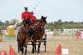 Photo n 34235&#10;Luon 2015&#10;Raphal Berrard - IFCE&#10;Affiche 129 fois&#10;Ajoute le 23/07/2015 20:31:16 par Peps&#10;&#10;--> Cliquer pour agrandir <--
