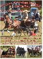 Photo n 34294&#10;Affiche 2015&#10;&#10;Affiche 10 fois&#10;Ajoute le 03/08/2015 13:31:59 par JeanClaudeGrognet&#10;&#10;--> Cliquer pour agrandir <--