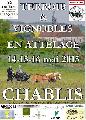 Photo n 34307&#10;Affiche 2015&#10;&#10;Affiche 8 fois&#10;Ajoute le 03/08/2015 13:31:59 par JeanClaudeGrognet&#10;&#10;--> Cliquer pour agrandir <--