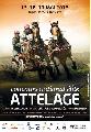 Photo n 34326&#10;Affiche 2015&#10;&#10;Affiche 25 fois&#10;Ajoute le 03/08/2015 13:32:00 par JeanClaudeGrognet&#10;&#10;--> Cliquer pour agrandir <--