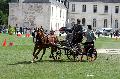 Photo n 34407&#10;Gruchet-Le-Valasse 2015. Photo Chevalandrieu&#10;Raphael BAERT&#10;Affiche 19 fois&#10;Ajoute le 24/08/2015 11:54:38 par Nadinetoudic&#10;&#10;--> Cliquer pour agrandir <--