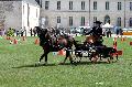Photo n 34408&#10;Gruchet-Le-Valasse 2015. Photo Chevalandrieu&#10;Jane MULOT&#10;Affiche 18 fois&#10;Ajoute le 24/08/2015 11:54:38 par Nadinetoudic&#10;&#10;--> Cliquer pour agrandir <--