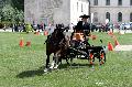 Photo n 34409&#10;Gruchet-Le-Valasse 2015. Photo Chevalandrieu&#10;Jane MULOT&#10;Affiche 15 fois&#10;Ajoute le 24/08/2015 11:54:38 par Nadinetoudic&#10;&#10;--> Cliquer pour agrandir <--