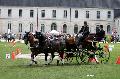 Photo n 34410&#10;Gruchet-Le-Valasse 2015. Photo Chevalandrieu&#10;Edouard MORICHON&#10;Affiche 18 fois&#10;Ajoute le 24/08/2015 11:54:38 par Nadinetoudic&#10;&#10;--> Cliquer pour agrandir <--