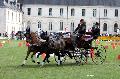 Photo n 34411&#10;Gruchet-Le-Valasse 2015. Photo Chevalandrieu&#10;Edouard MORICHON&#10;Affiche 13 fois&#10;Ajoute le 24/08/2015 11:54:38 par Nadinetoudic&#10;&#10;--> Cliquer pour agrandir <--