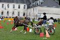 Photo n 34412&#10;Gruchet-Le-Valasse 2015. Photo Chevalandrieu&#10;Robin CRESSENT&#10;Affiche 29 fois&#10;Ajoute le 24/08/2015 12:07:52 par Nadinetoudic&#10;&#10;--> Cliquer pour agrandir <--