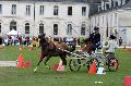 Photo n 34413&#10;Gruchet-Le-Valasse 2015. Photo Chevalandrieu&#10;Robin CRESSENT&#10;Affiche 28 fois&#10;Ajoute le 24/08/2015 12:07:52 par Nadinetoudic&#10;&#10;--> Cliquer pour agrandir <--