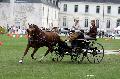 Photo n 34414&#10;Gruchet-Le-Valasse 2015. Photo Chevalandrieu&#10;Laetitia MARICOURT LE BOUCHER&#10;Affiche 21 fois&#10;Ajoute le 24/08/2015 12:07:52 par Nadinetoudic&#10;&#10;--> Cliquer pour agrandir <--