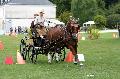 Photo n 34415&#10;Gruchet-Le-Valasse 2015. Photo Chevalandrieu&#10;Laetitia MARICOURT LE BOUCHER&#10;Affiche 51 fois&#10;Ajoute le 24/08/2015 12:07:52 par Nadinetoudic&#10;&#10;--> Cliquer pour agrandir <--
