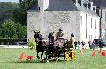Photo n 34419&#10;Gruchet-Le-Valasse 2015. Photo Chevalandrieu&#10;Yves GERARD&#10;Affiche 19 fois&#10;Ajoute le 24/08/2015 12:07:52 par Nadinetoudic&#10;&#10;--> Cliquer pour agrandir <--