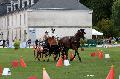 Photo n 34421&#10;Gruchet-Le-Valasse 2015. Photo Chevalandrieu&#10;Anne-Violaine BRISOU&#10;Affiche 21 fois&#10;Ajoute le 24/08/2015 12:07:52 par Nadinetoudic&#10;&#10;--> Cliquer pour agrandir <--