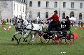 Photo n 34423&#10;Gruchet-Le-Valasse 2015. Photo Chevalandrieu&#10;Aurore JUMEAUX&#10;Affiche 23 fois&#10;Ajoute le 24/08/2015 12:07:52 par Nadinetoudic&#10;&#10;--> Cliquer pour agrandir <--