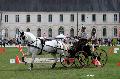 Photo n 34424&#10;Gruchet-Le-Valasse 2015. Photo Chevalandrieu&#10;Yannick CHEREL&#10;Affiche 22 fois&#10;Ajoute le 24/08/2015 12:07:52 par Nadinetoudic&#10;&#10;--> Cliquer pour agrandir <--