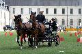 Photo n 34429&#10;Gruchet-Le-Valasse 2015. Photo Chevalandrieu&#10;Philippe LENGLET GRANGER&#10;Affiche 30 fois&#10;Ajoute le 24/08/2015 12:09:43 par Nadinetoudic&#10;&#10;--> Cliquer pour agrandir <--