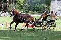 Photo n 34431&#10;Gruchet-Le-Valasse 2015. Photo Chevalandrieu&#10;Frdric VAUQUIER&#10;Affiche 14 fois&#10;Ajoute le 24/08/2015 14:35:44 par Nadinetoudic&#10;&#10;--> Cliquer pour agrandir <--