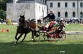 Photo n 34432&#10;Gruchet-Le-Valasse 2015. Photo Chevalandrieu&#10;Eric LAVILLE&#10;Affiche 23 fois&#10;Ajoute le 24/08/2015 14:35:44 par Nadinetoudic&#10;&#10;--> Cliquer pour agrandir <--