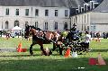 Photo n 34435&#10;Gruchet-Le-Valasse 2015. Photo Chevalandrieu&#10;Elise AUBRIT&#10;Affiche 11 fois&#10;Ajoute le 24/08/2015 14:35:44 par Nadinetoudic&#10;&#10;--> Cliquer pour agrandir <--