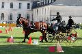 Photo n 34439&#10;Gruchet-Le-Valasse 2015. Photo Chevalandrieu&#10;Yves MORICHON&#10;Affiche 17 fois&#10;Ajoute le 24/08/2015 14:35:45 par Nadinetoudic&#10;&#10;--> Cliquer pour agrandir <--