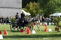 Photo n 34440&#10;Gruchet-Le-Valasse 2015. Photo Chevalandrieu&#10;Emilie MORICHON&#10;Affiche 88 fois&#10;Ajoute le 24/08/2015 14:35:45 par Nadinetoudic&#10;&#10;--> Cliquer pour agrandir <--