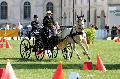 Photo n 34441&#10;Gruchet-Le-Valasse 2015. Photo Chevalandrieu&#10;Emilie MORICHON&#10;Affiche 18 fois&#10;Ajoute le 24/08/2015 14:35:45 par Nadinetoudic&#10;&#10;--> Cliquer pour agrandir <--