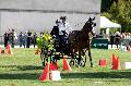 Photo n 34442&#10;Gruchet-Le-Valasse 2015. Photo Chevalandrieu&#10;Laetitia MARICOURT LE BOUCHER&#10;Affiche 29 fois&#10;Ajoute le 24/08/2015 14:35:45 par Nadinetoudic&#10;&#10;--> Cliquer pour agrandir <--