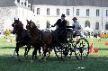 Photo n 34445&#10;Gruchet-Le-Valasse 2015. Photo Chevalandrieu&#10;Fabien GUILLEMARRE&#10;Affiche 25 fois&#10;Ajoute le 24/08/2015 14:35:45 par Nadinetoudic&#10;&#10;--> Cliquer pour agrandir <--