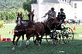 Photo n 34446&#10;Gruchet-Le-Valasse 2015. Photo Chevalandrieu&#10;Bernard POUVREAU&#10;Affiche 22 fois&#10;Ajoute le 24/08/2015 14:35:45 par Nadinetoudic&#10;&#10;--> Cliquer pour agrandir <--