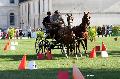Photo n 34447&#10;Gruchet-Le-Valasse 2015. Photo Chevalandrieu&#10;Bernard POUVREAU&#10;Affiche 23 fois&#10;Ajoute le 24/08/2015 14:35:45 par Nadinetoudic&#10;&#10;--> Cliquer pour agrandir <--