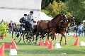 Photo n° 34448
Gruchet-Le-Valasse 2015. Photo Chevalandrieu
Pierre MONNIER
Affichée 20 fois
Ajoutée le 24/08/2015 14:35:45 par Nadinetoudic

--> Cliquer pour agrandir <--