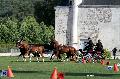 Photo n 34453&#10;Gruchet-Le-Valasse 2015. Photo Chevalandrieu&#10;Patrice LEMARCIS&#10;Affiche 26 fois&#10;Ajoute le 24/08/2015 15:26:01 par Nadinetoudic&#10;&#10;--> Cliquer pour agrandir <--