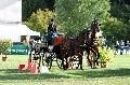 Photo n 34454&#10;Gruchet-Le-Valasse 2015. Photo Chevalandrieu&#10;Catherine RECHER&#10;Affiche 24 fois&#10;Ajoute le 24/08/2015 15:26:01 par Nadinetoudic&#10;&#10;--> Cliquer pour agrandir <--